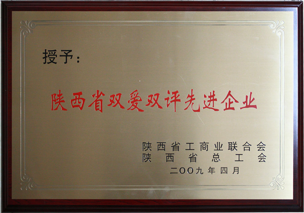 2009年陜西省雙愛雙評先進企業(yè)