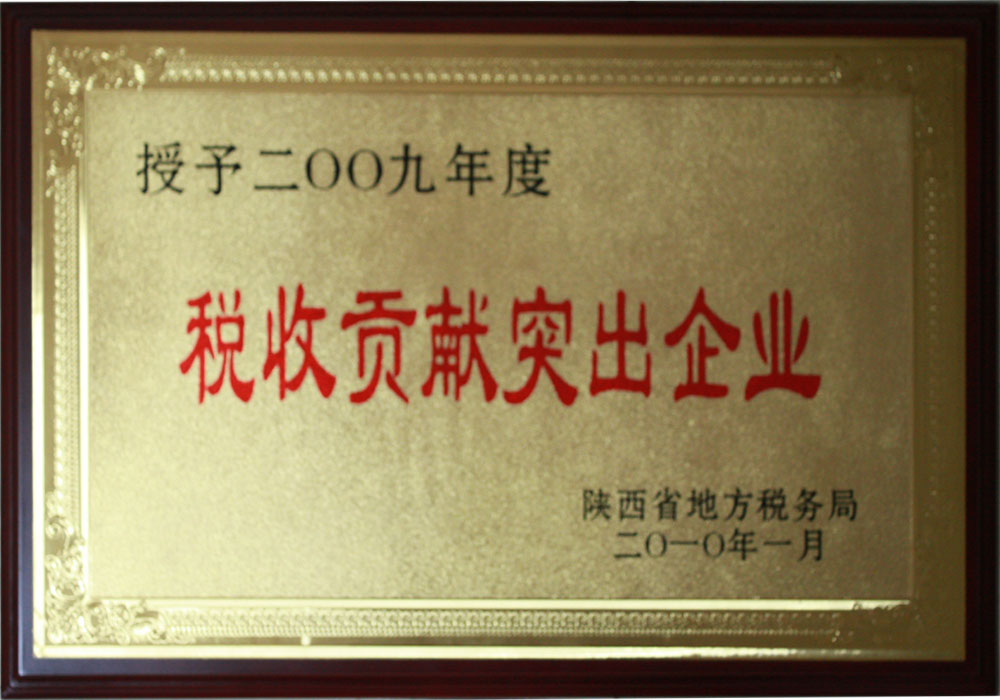 2009年陜西省稅收貢獻突出企業(yè)