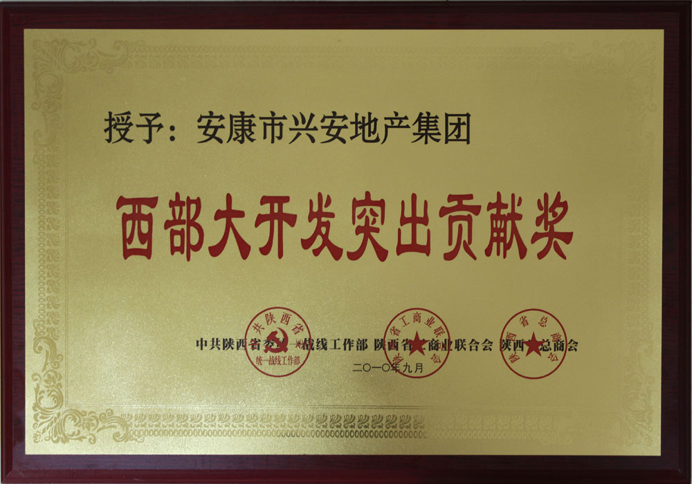 西部大開發(fā)突出貢獻獎